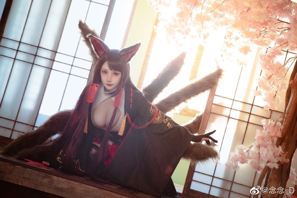 [COSPALY]碧蓝航线 赤城 @念念_D COSPLAY-第5张