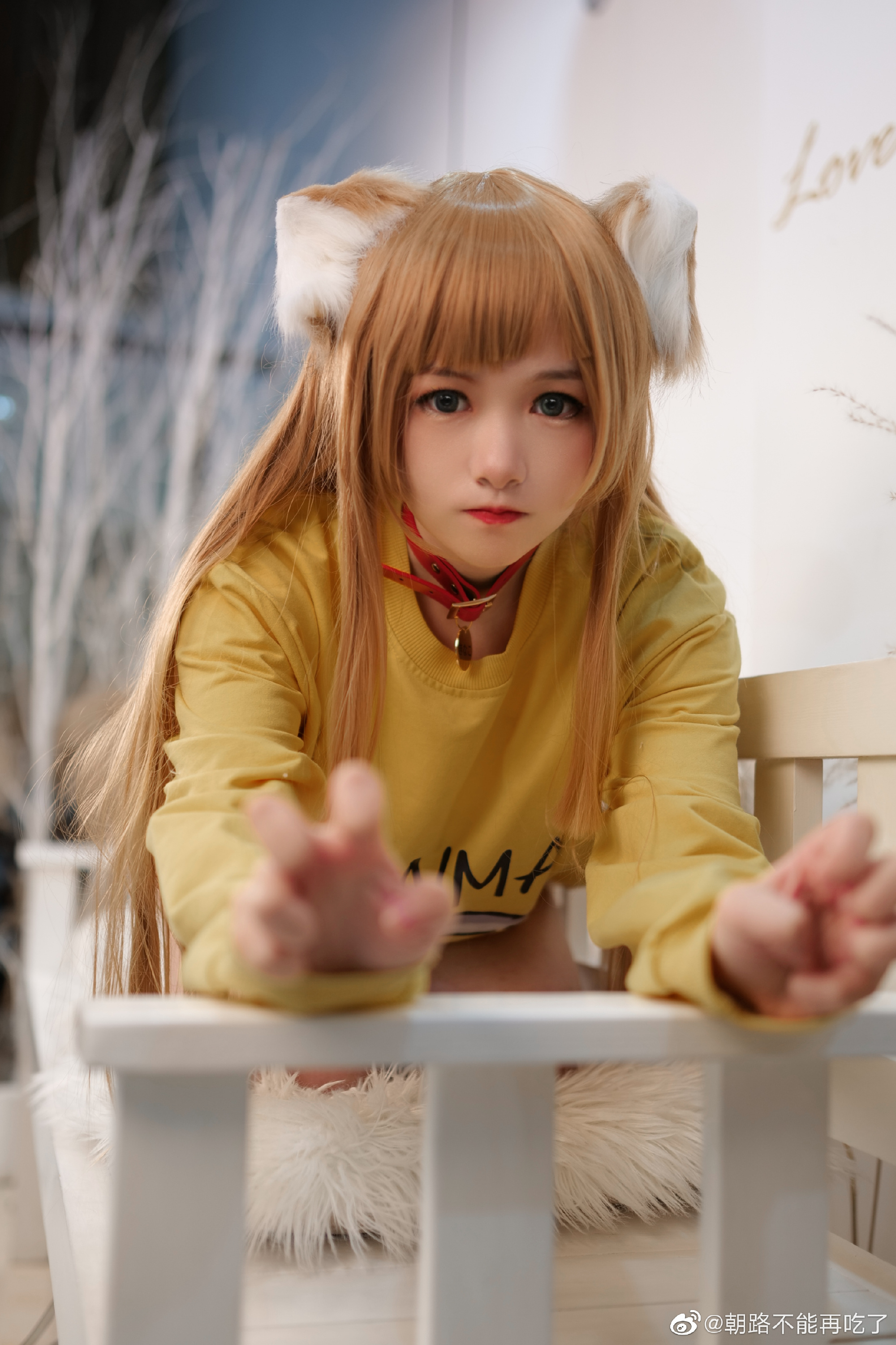 40原 猫娘 黄豆粉@朝路不能再吃了 COSPLAY-第2张