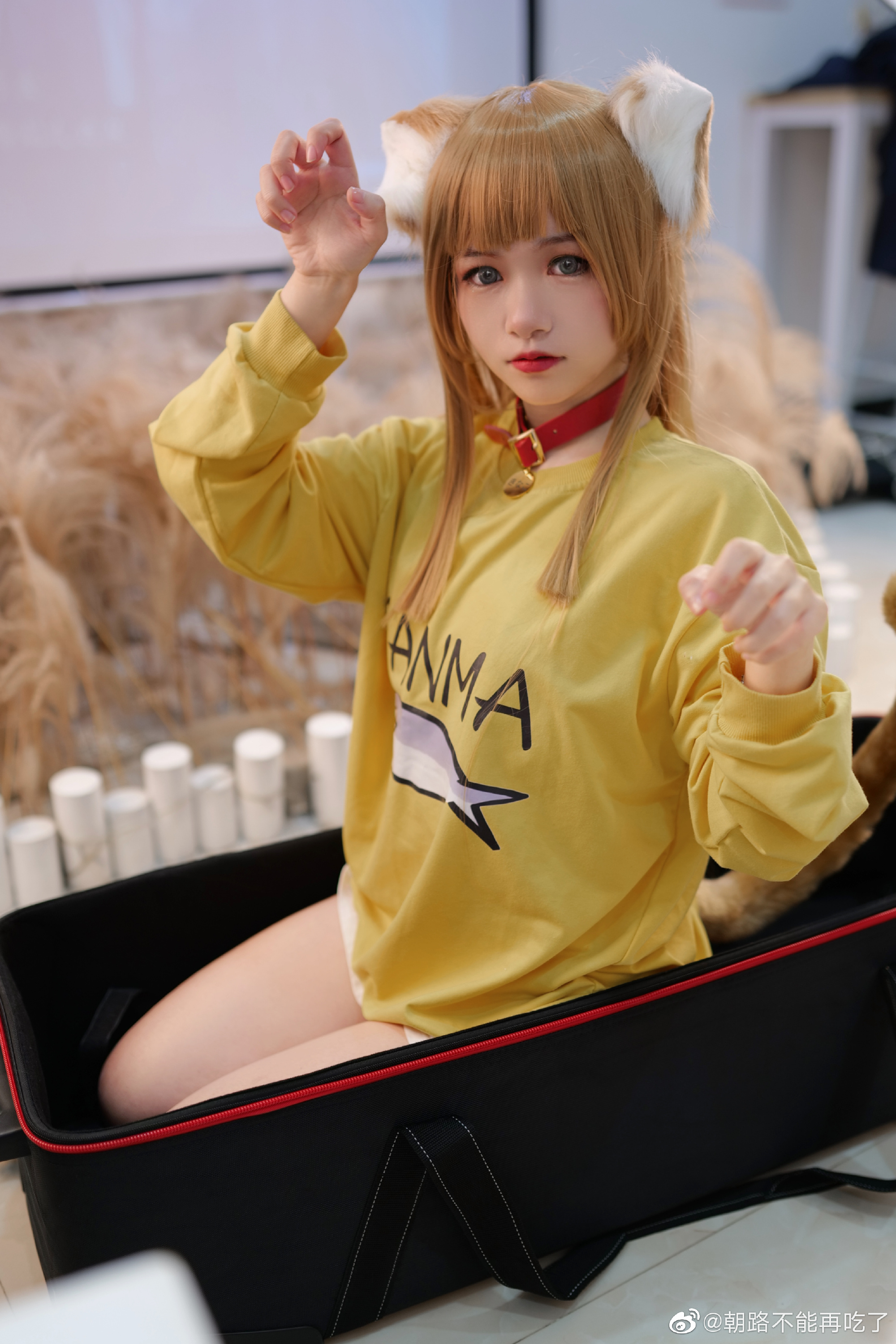 40原 猫娘 黄豆粉@朝路不能再吃了 COSPLAY-第4张