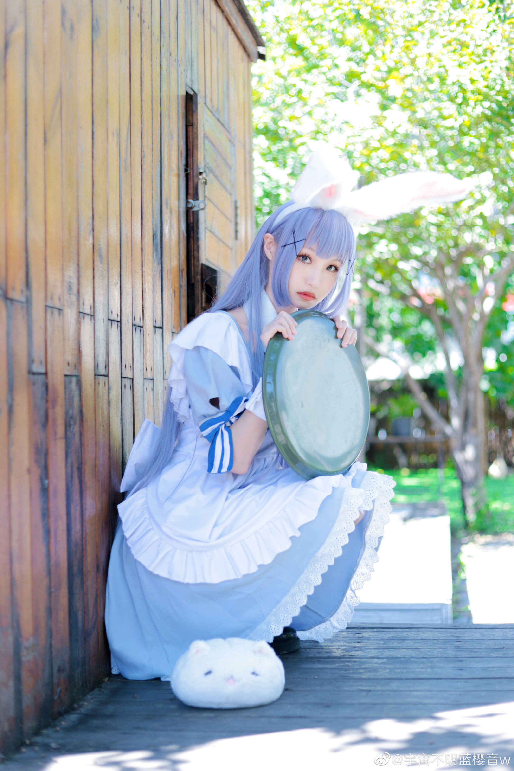 【COS】请问您今天要来点兔子吗? 香风智乃@宇宙不明蓝樱音w COSPLAY-第9张