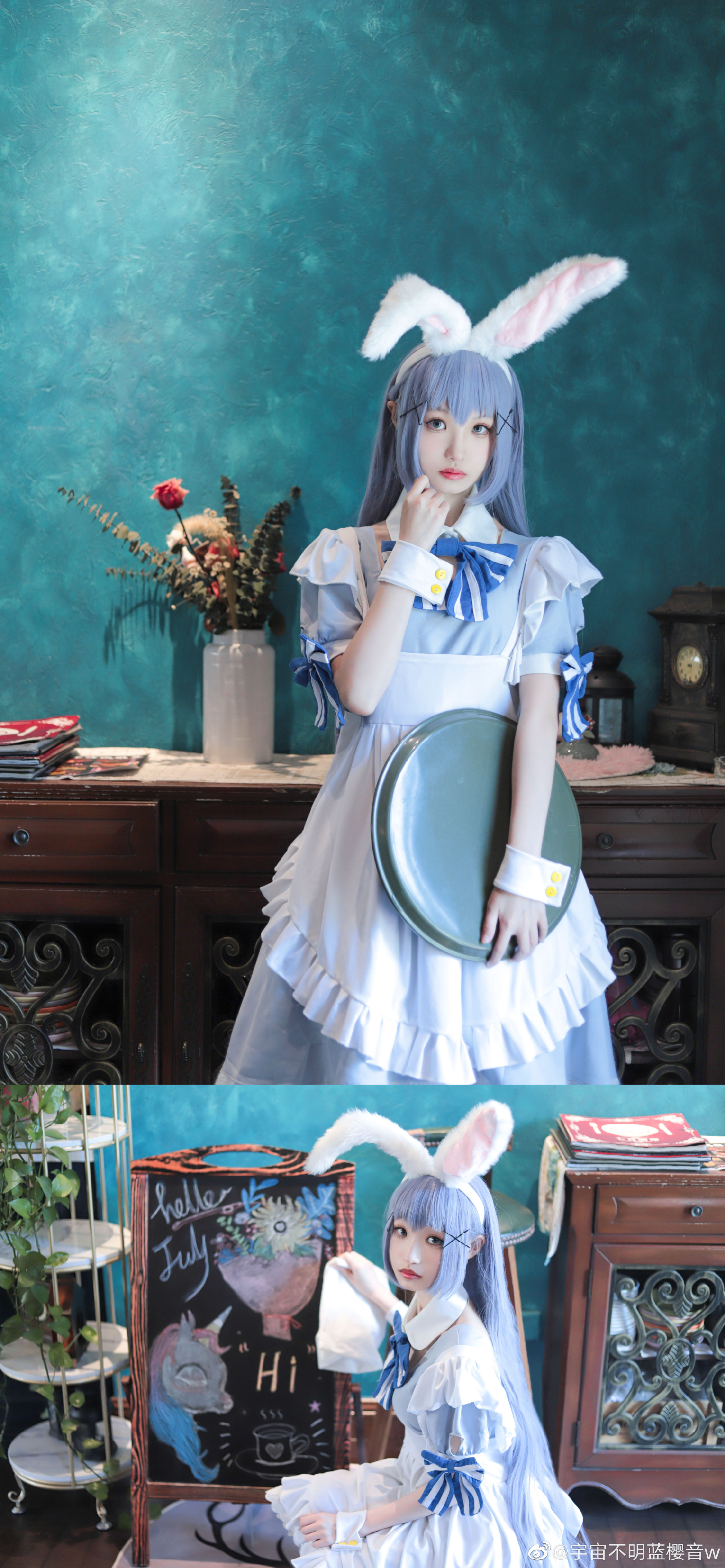 【COS】请问您今天要来点兔子吗? 香风智乃@宇宙不明蓝樱音w COSPLAY-第14张