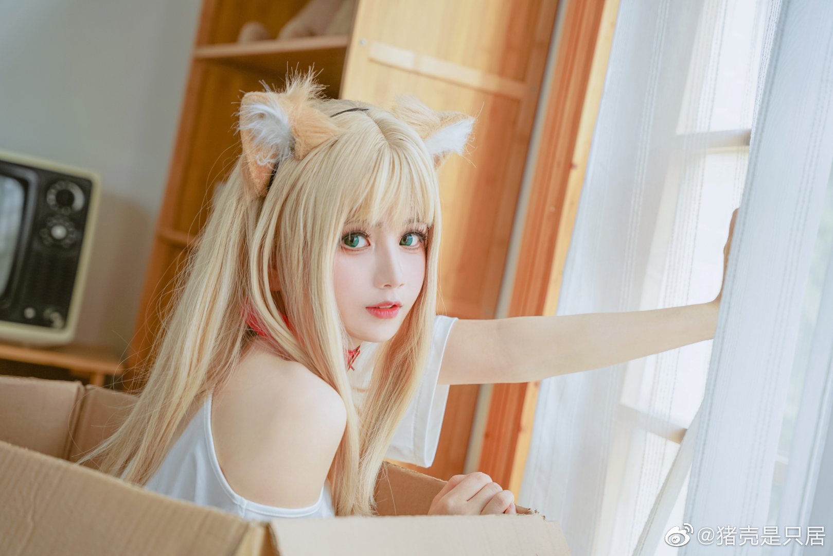 【COS】40原作品 黄豆粉猫娘 祝大家端午安康@猪壳是只居 COSPLAY-第4张