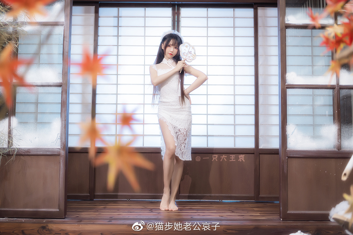 一只大王哀 元旦快乐呀 @猫步她老公哀子 摄影-第13张