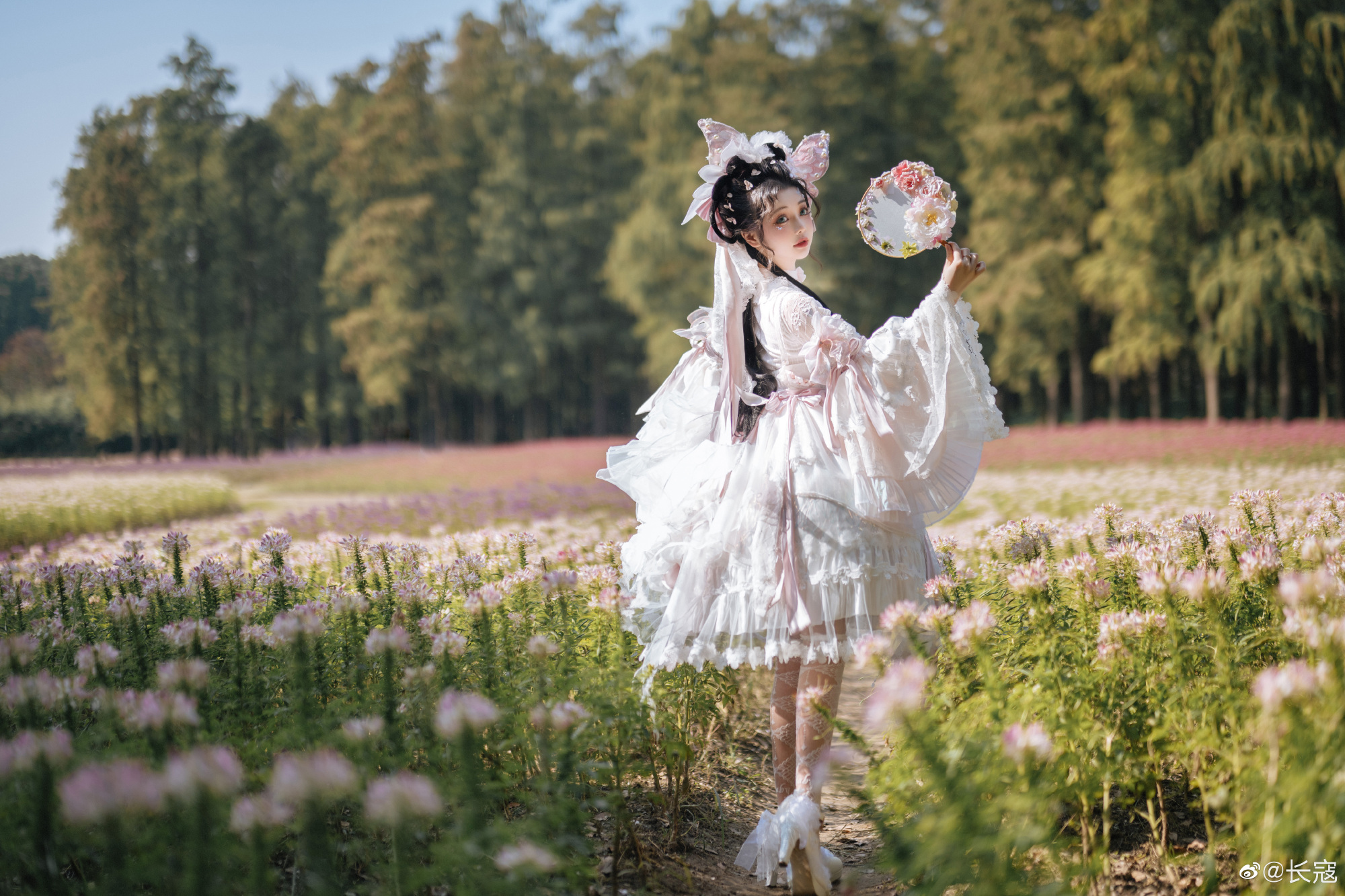 LOLITA 白云舒卷  风在摇曳它的叶子 云霓•蝶粼 樱花粉Jsk@长寇 LOLITA-第14张