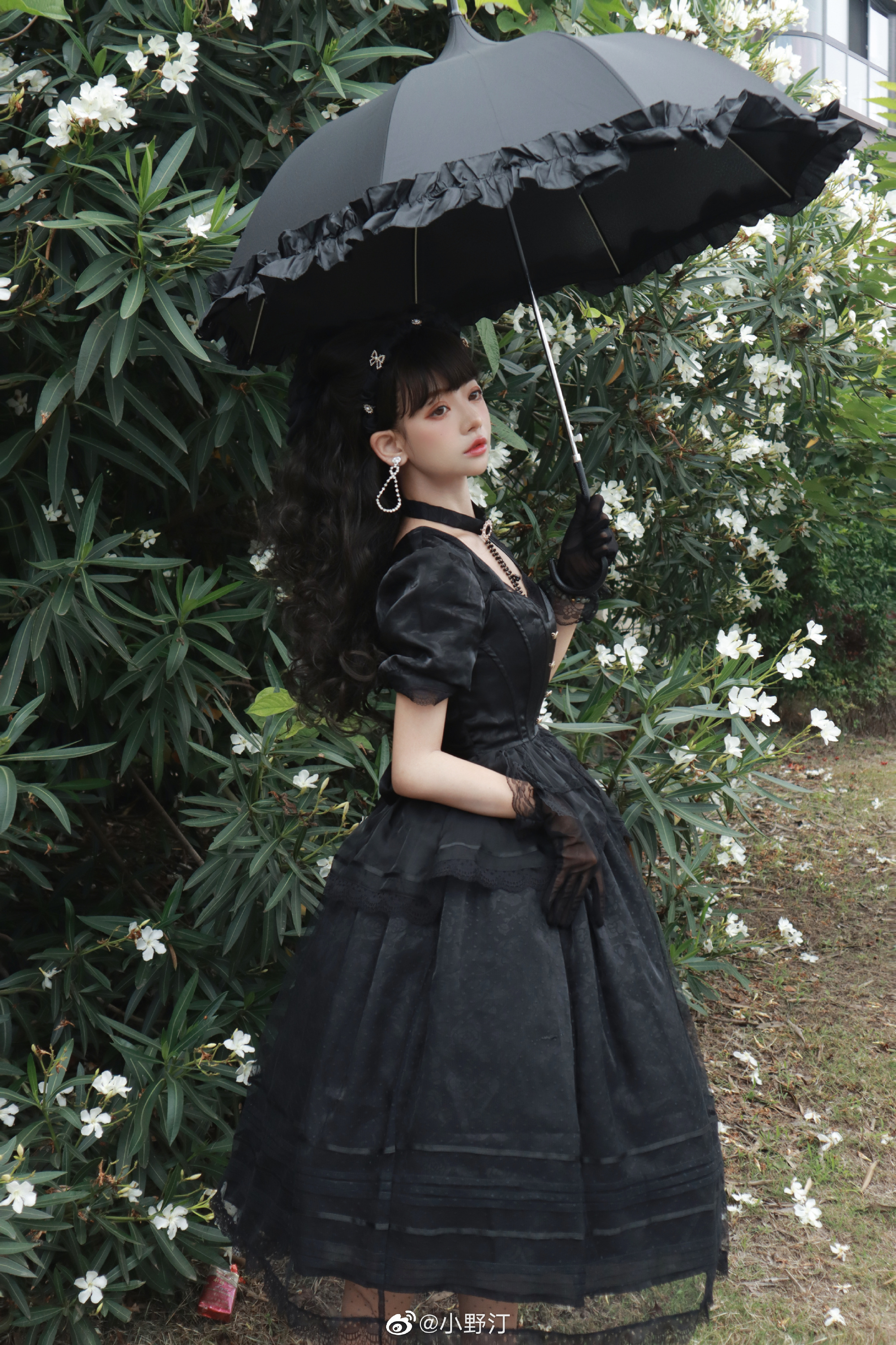 图片[3]-lolita装扮 玫瑰与山茶，温柔与浪漫@小野汀-米哈社