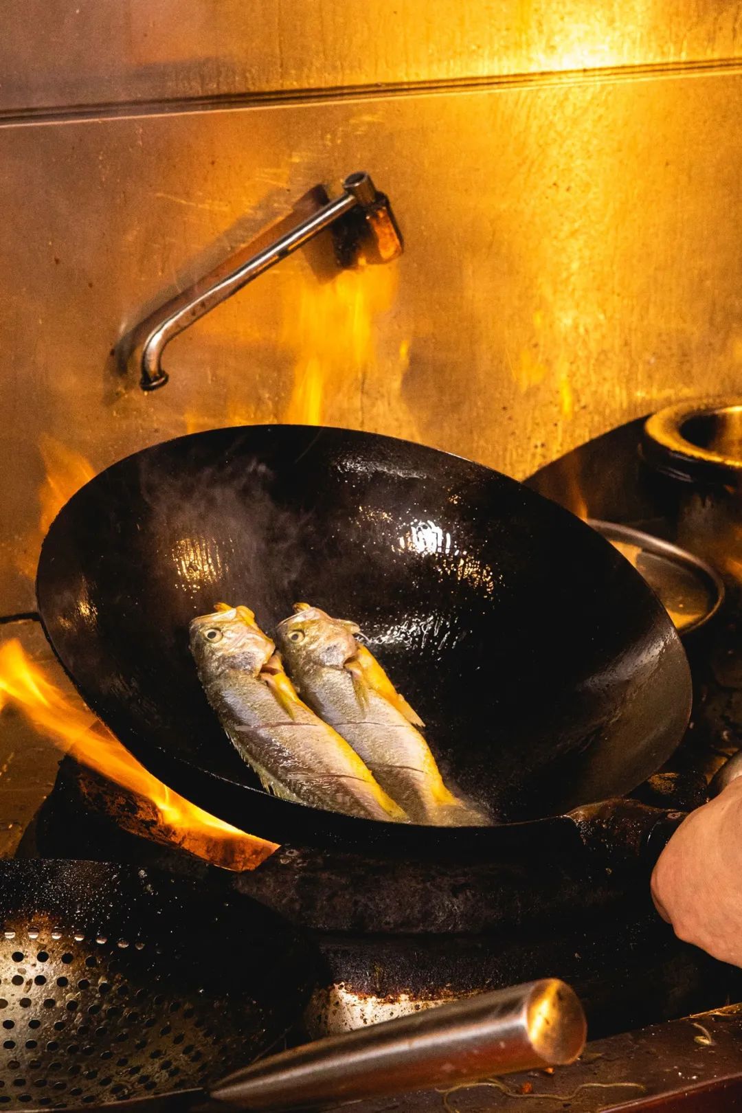 新鲜的鱼，简简单单干烧一下，你就能感受到此时东海的“鲜”。摄影/朱梦菲