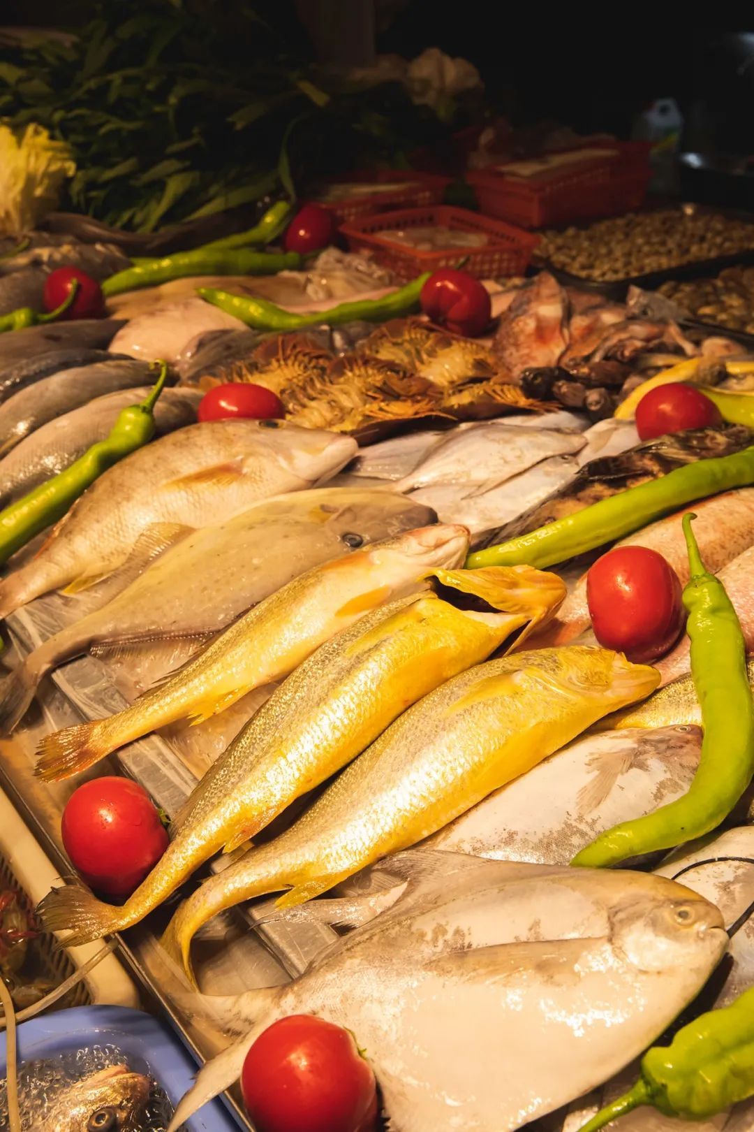 新鲜的海鲜在舟山的菜场，供人们选购。摄影/朱梦菲
