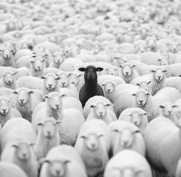 3CD有意思GIF动态图【第39期】重新认识一下-3CD