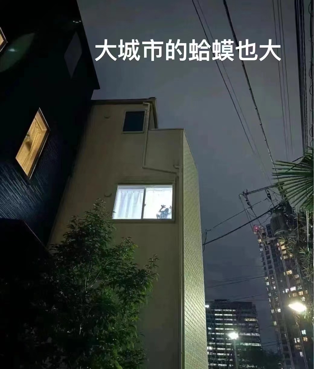 3CD有意思GIF动态图【第41期】嘴硬的小孩-3CD