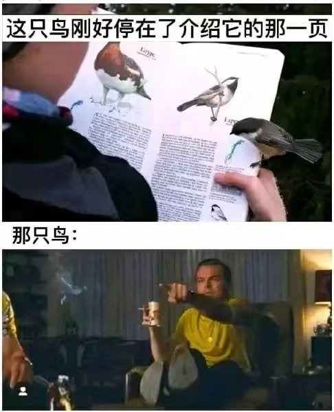 3CD有意思GIF动态图【第48期】讲话潜台词-3CD