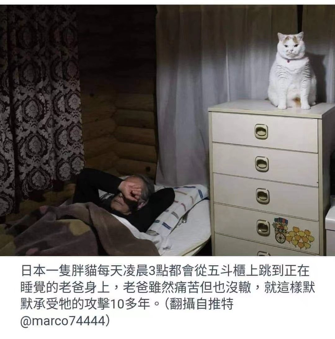 3CD有意思GIF动态图【第48期】讲话潜台词-3CD