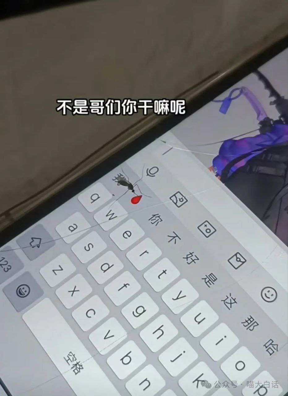 3CD有意思GIF动态图【第54期】降温了,注意保暖-3CD 3CD有意思GIF动态图【第54期】降温了,注意保暖-3CD