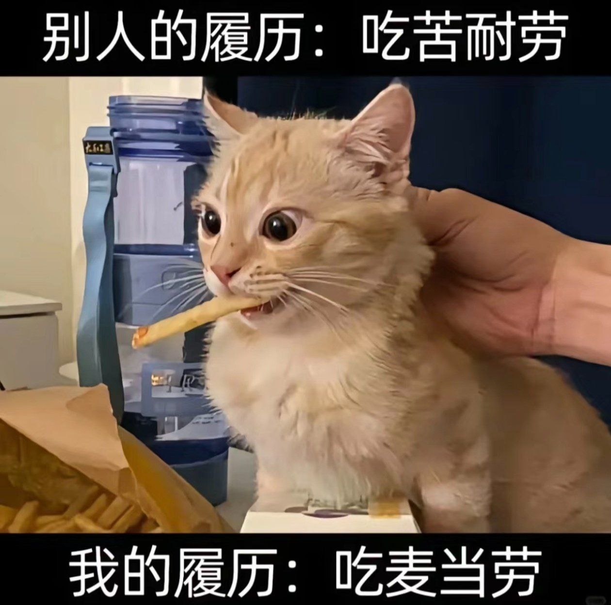 3CD有意思GIF动态图【第61期】制作过程