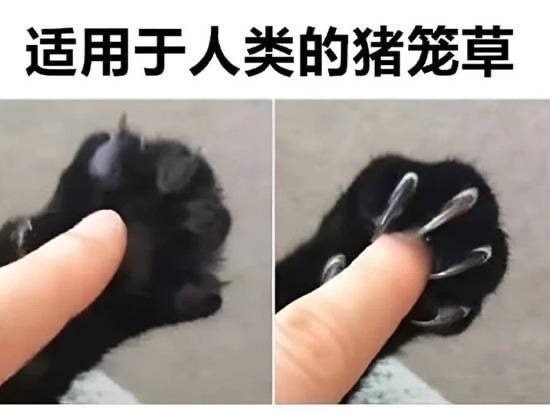 选择 3CD有意思GIF动态图【第74期】逢胸化吉-3CD