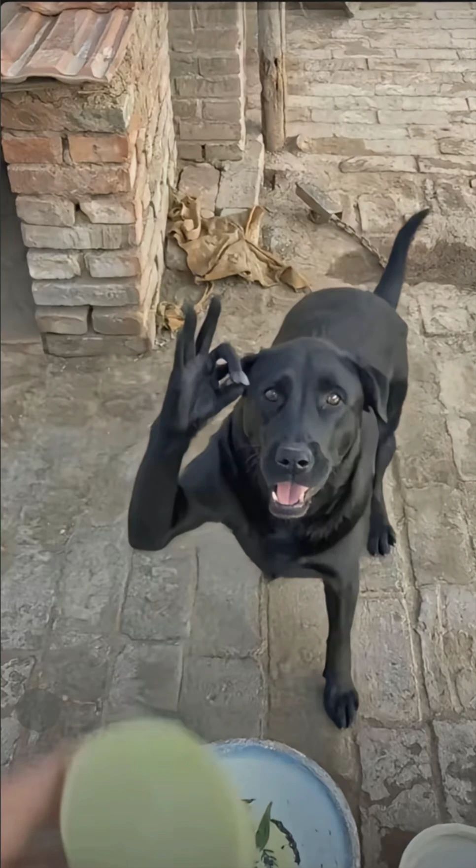 3CD有意思福利有趣图【第96期】什么是V8啊?-3CD 3CD有意思福利有趣图【第96期】什么是V8啊?-3CD