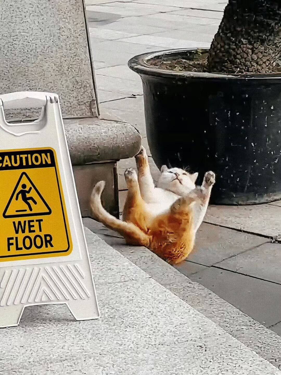 3CD有意思福利有趣图【第106期】转接头职业-3CD