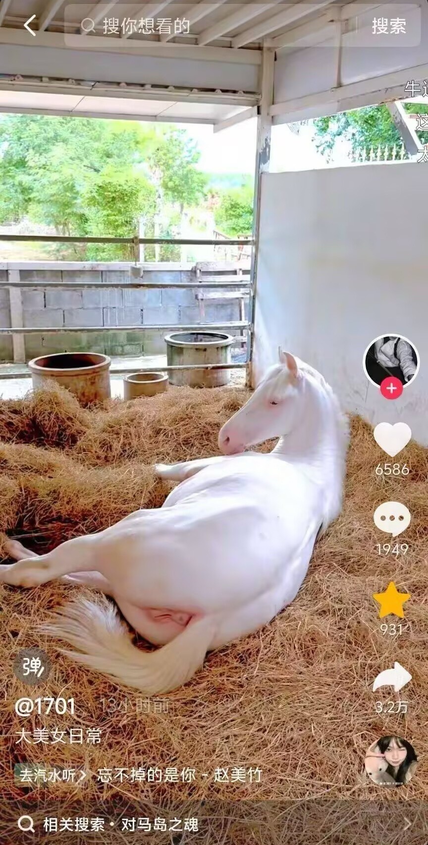 3CD有意思福利有趣图【第111期】究竟为什么？-3CD