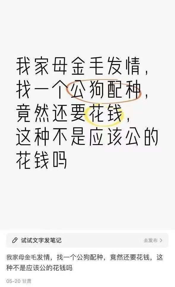 3CD有意思福利有趣图【第129期】致命节奏-3CD