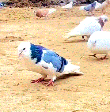 3CD有意思福利有趣图【第134期】爆点不断-3CD