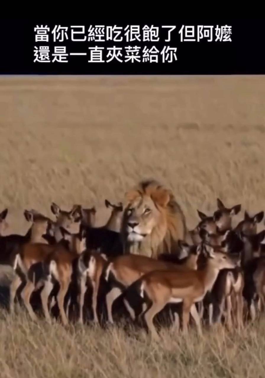 3CD有意思福利有趣图【第137期】一图看懂-3CD