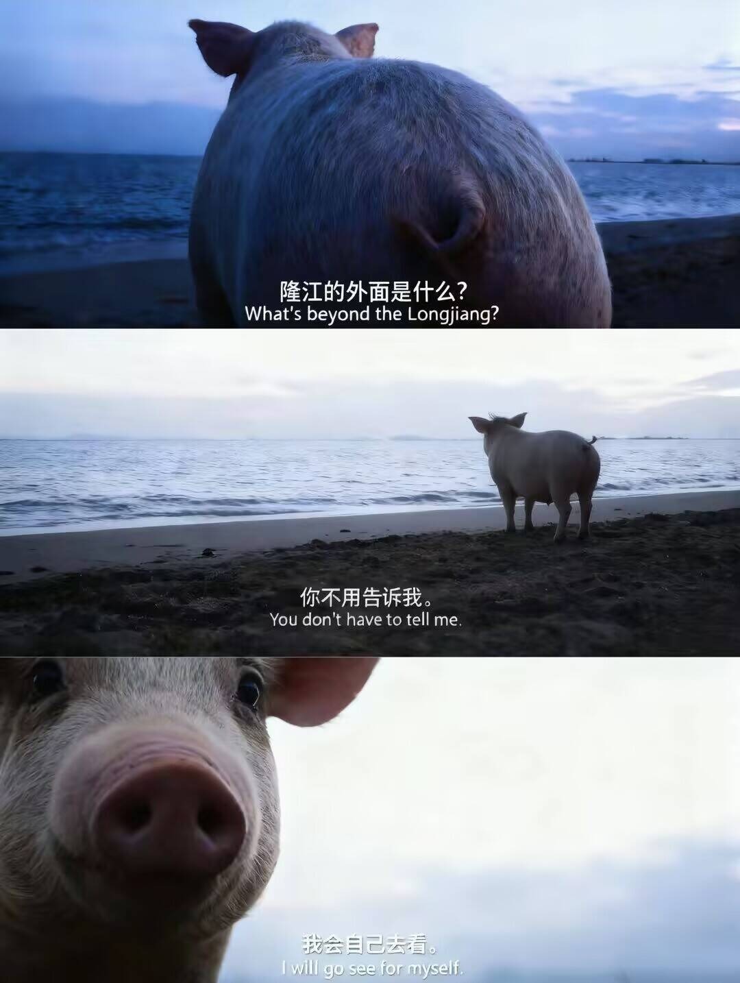 3CD有意思福利有趣图【第137期】一图看懂-3CD