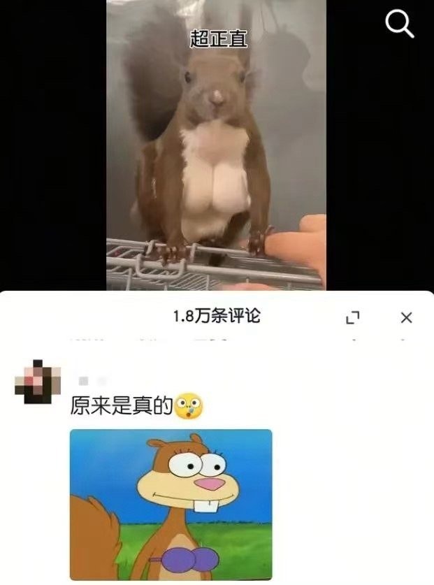 3CD有意思福利有趣图【第144期】万恶泰迪-3CD