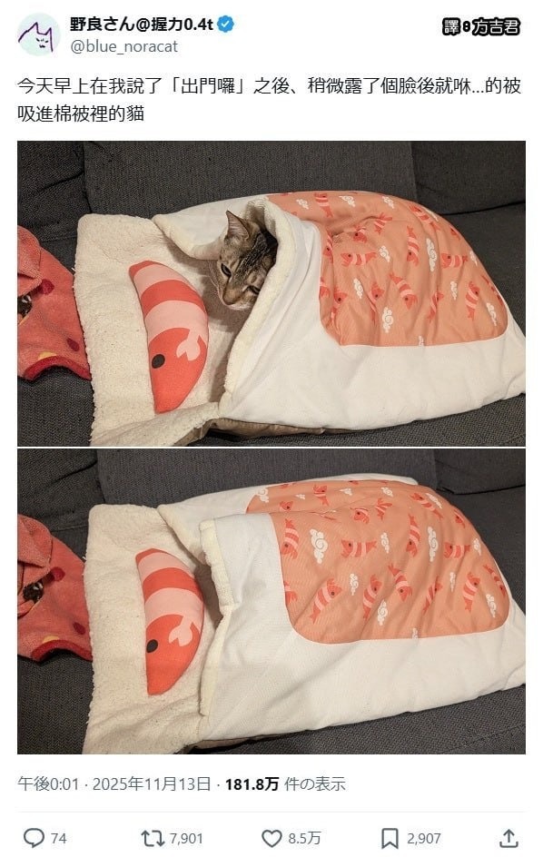 3CD有意思福利有趣图【第150期】他们在这里啦-3CD