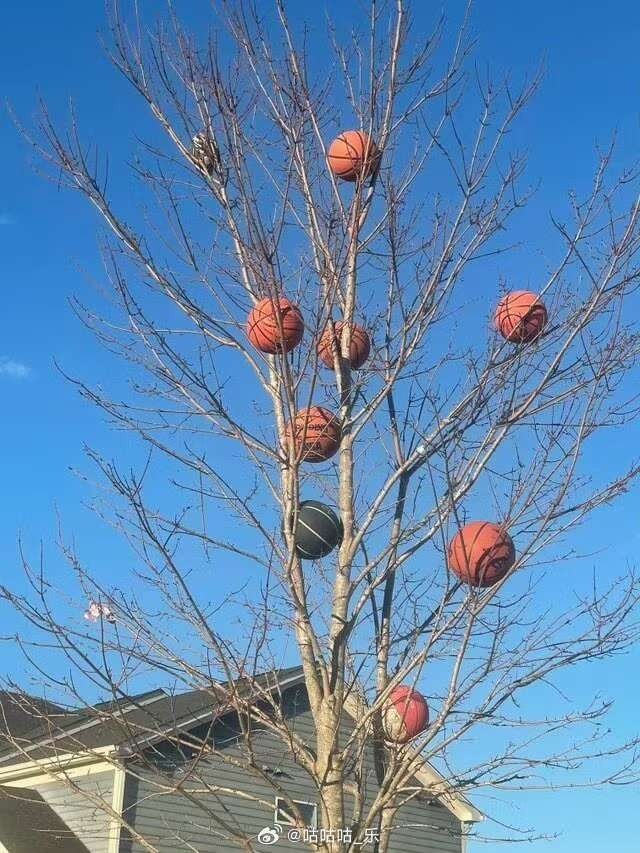 3CD有意思福利有趣图【第152期】灵感古籍图书-3CD