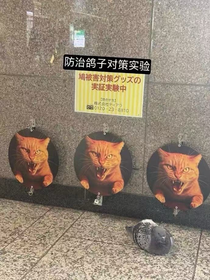 3CD有意思福利有趣图【第153期】禁止偷吃同事-3CD