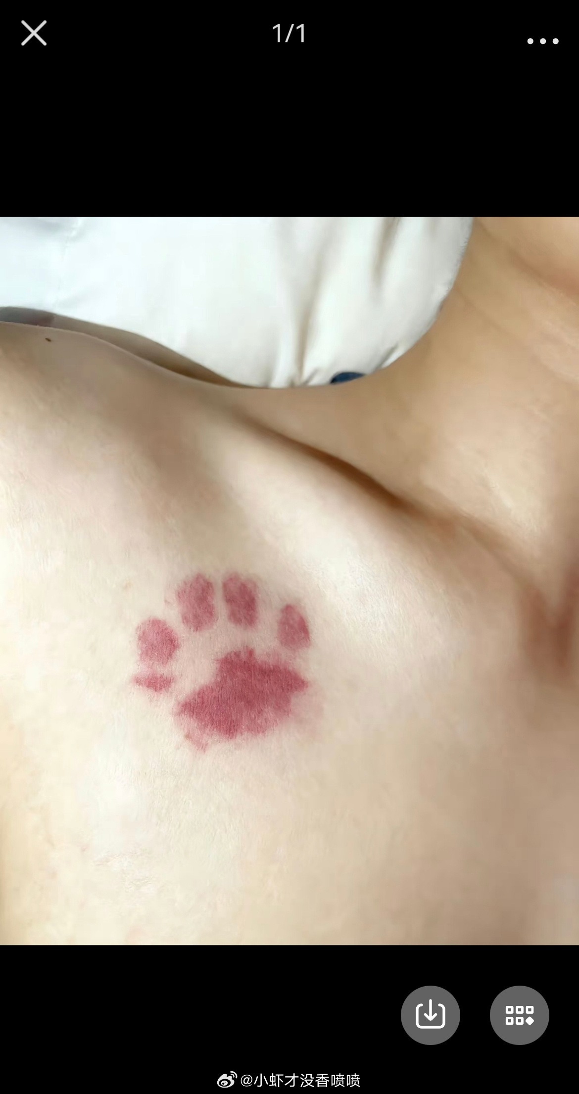 3CD有意思福利有趣图【第154期】我们学到了什么？-3CD