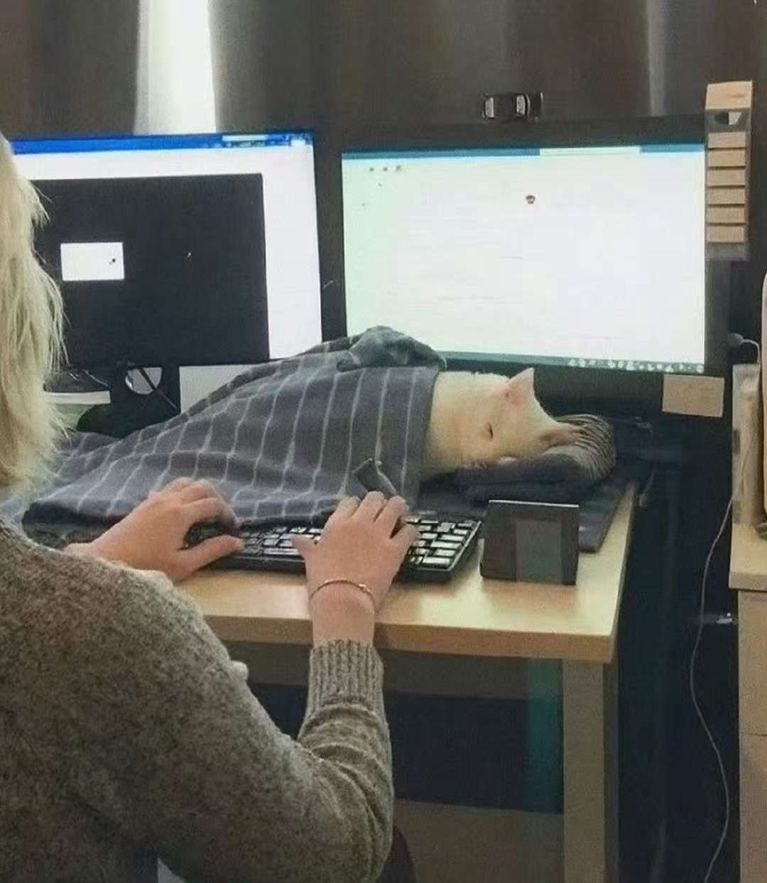 3CD有意思福利有趣图【第156期】太沉迷于性了-3CD