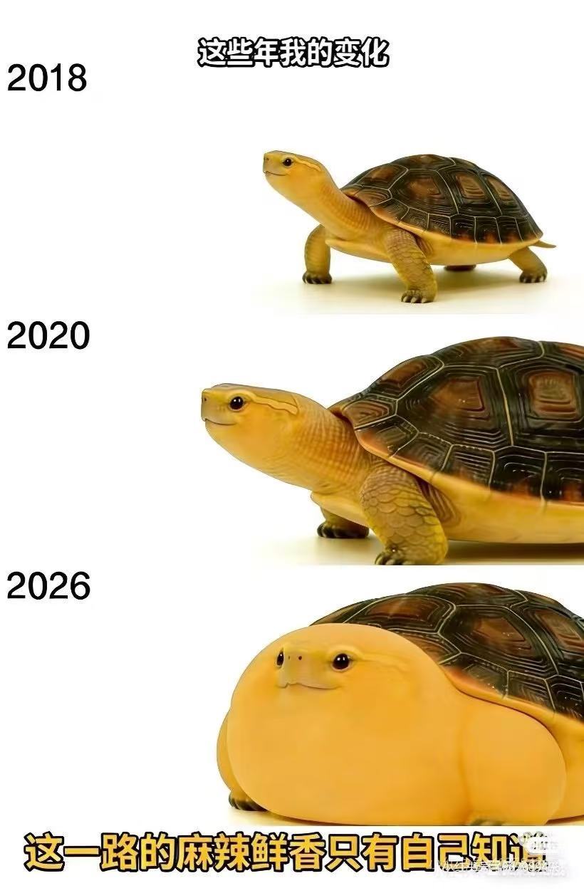 3CD有意思福利有趣图【第178期】新时代人力车-3CD