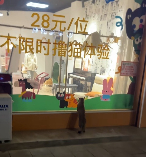 3CD有意思福利有趣图【第181期】搞笑配音助眠-3CD 3CD有意思福利有趣图【第181期】搞笑配音助眠-3CD