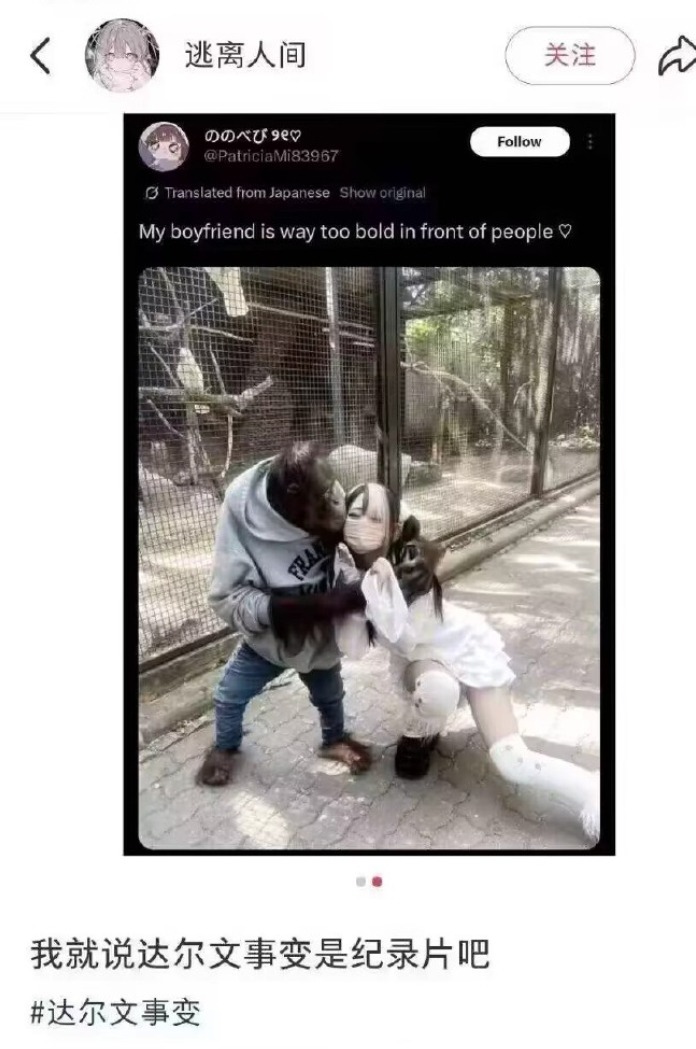 3CD有意思福利有趣图【第181期】搞笑配音助眠-3CD 3CD有意思福利有趣图【第181期】搞笑配音助眠-3CD