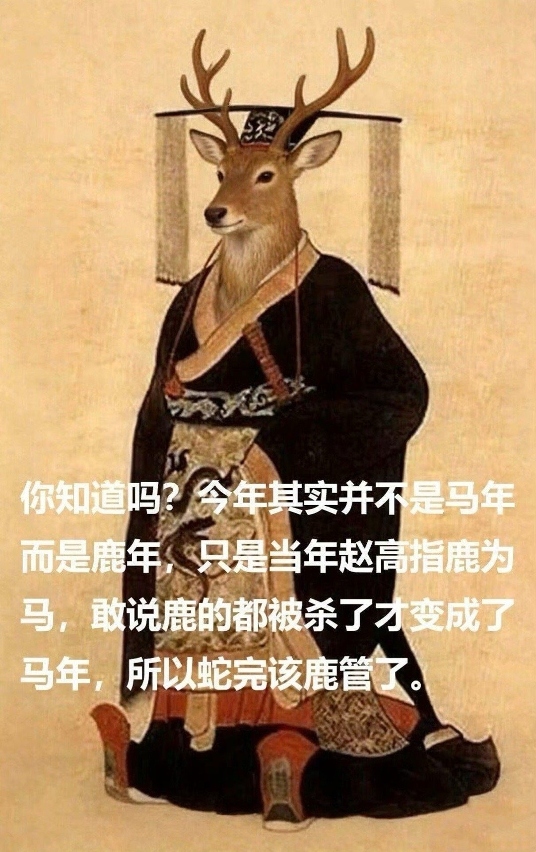 3CD有意思福利有趣图【第185期】Dva在干嘛？-3CD