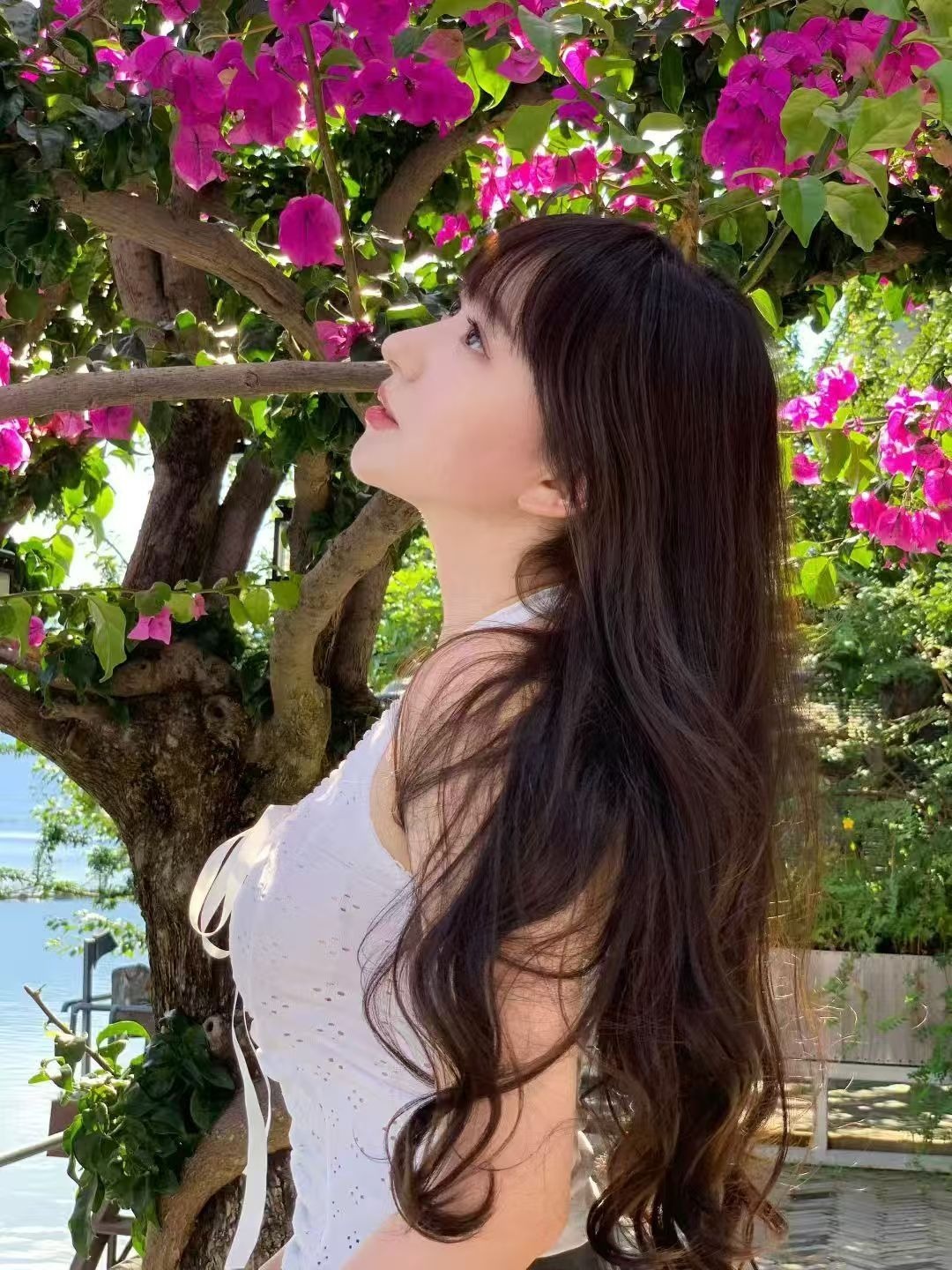 3CD有意思福利有趣图【第186期】鸟为什么亲嘴？-3CD