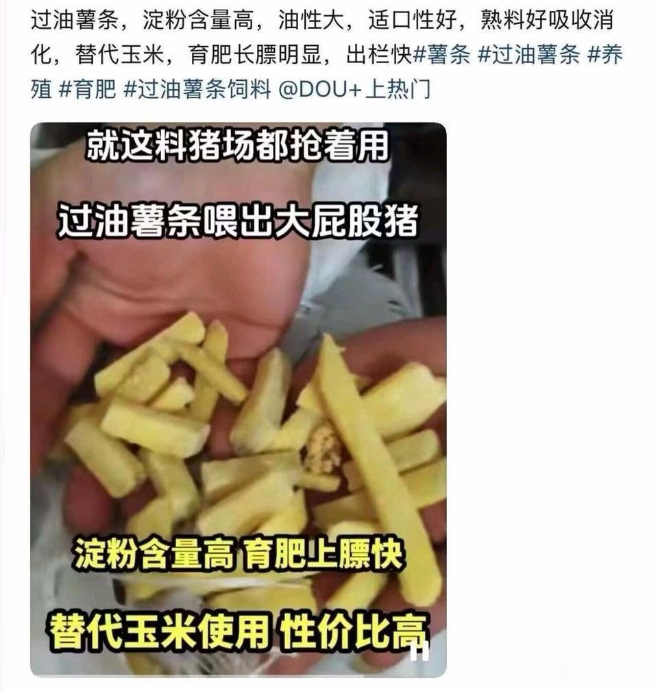 3CD有意思福利有趣图【第200期】雪山救了100只狐狸-3CD 3CD有意思福利有趣图【第200期】雪山救了100只狐狸-3CD