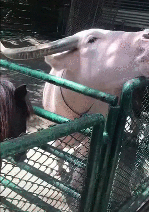 找点图片福利总汇【第18期】过分了!-3CD