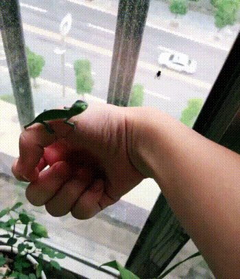 找点图片福利总汇【第18期】过分了!-3CD