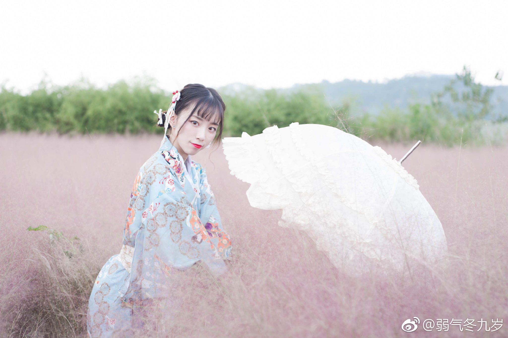 粉黛草就是少女的梦