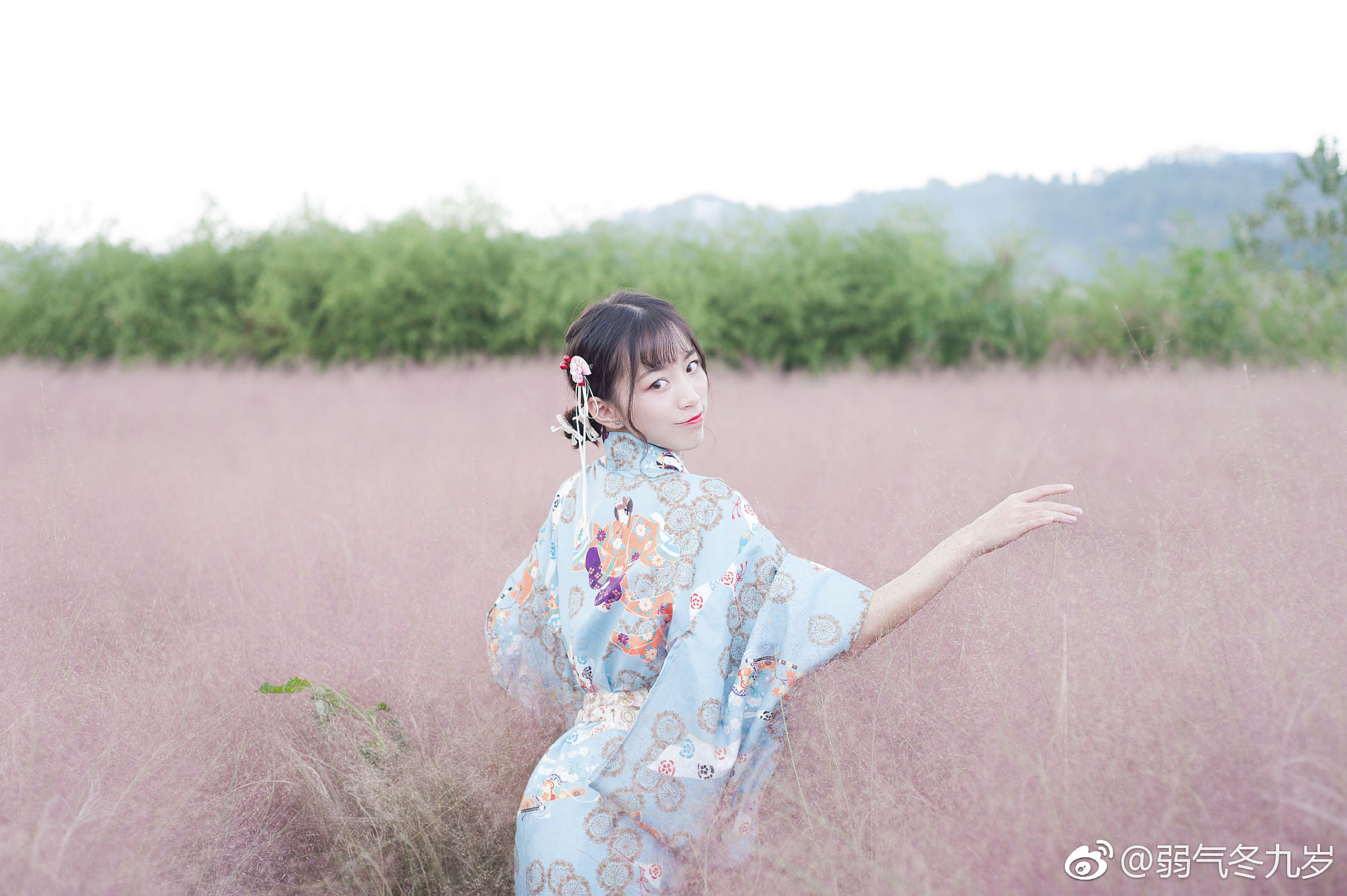 粉黛草就是少女的梦