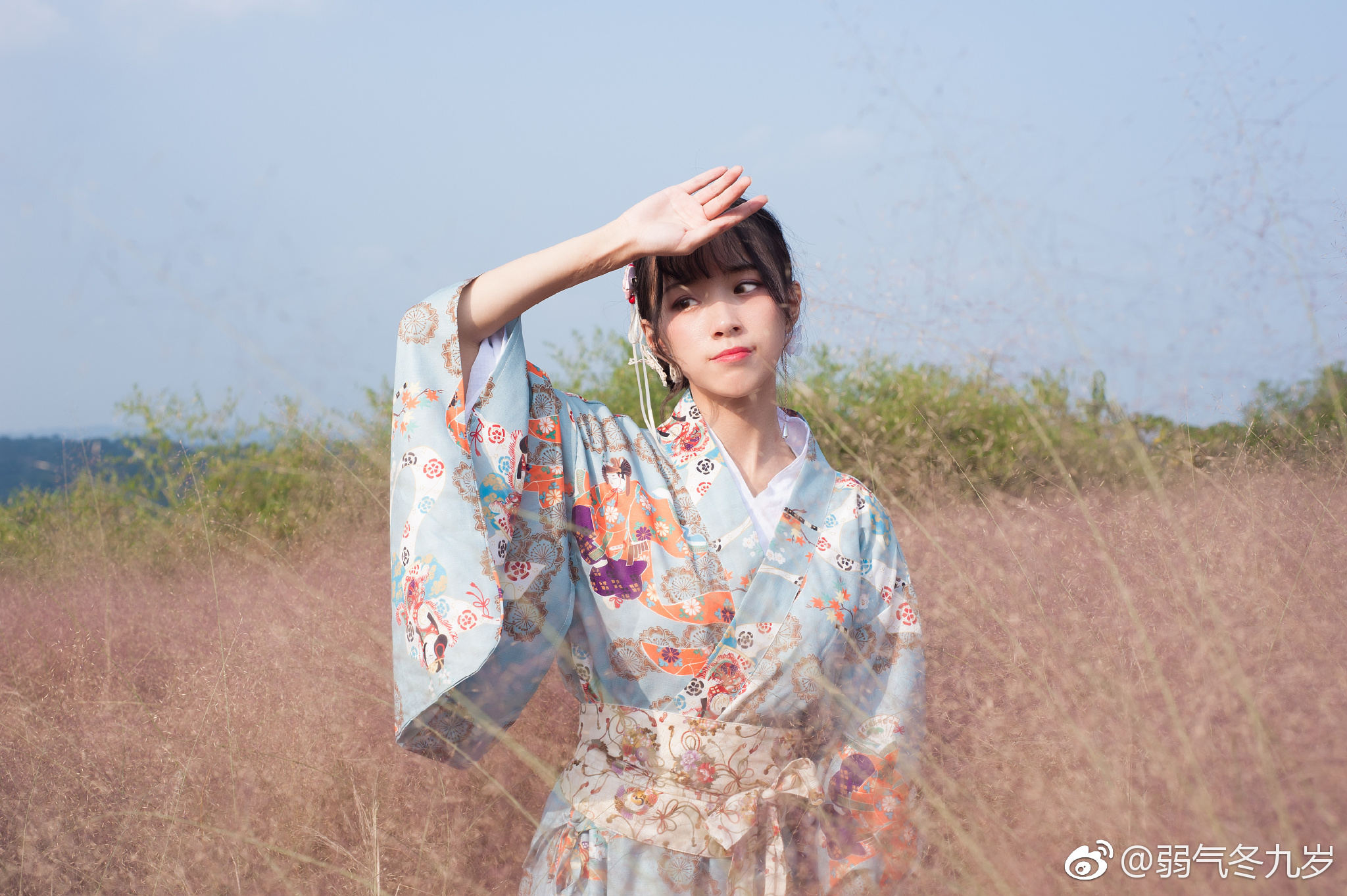 粉黛草就是少女的梦
