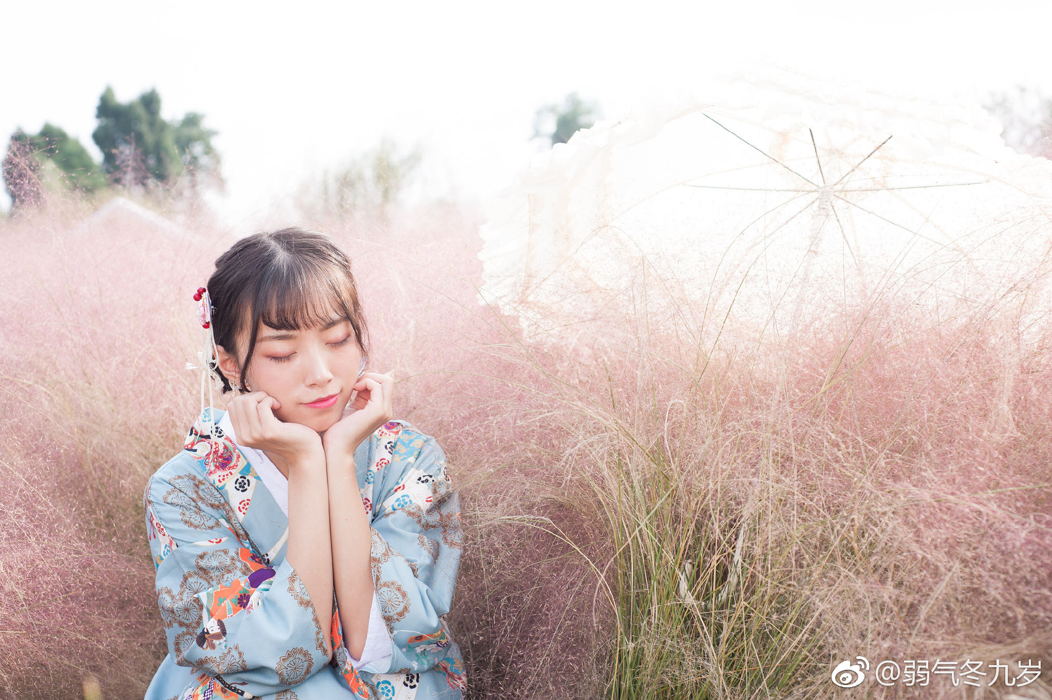 粉黛草就是少女的梦