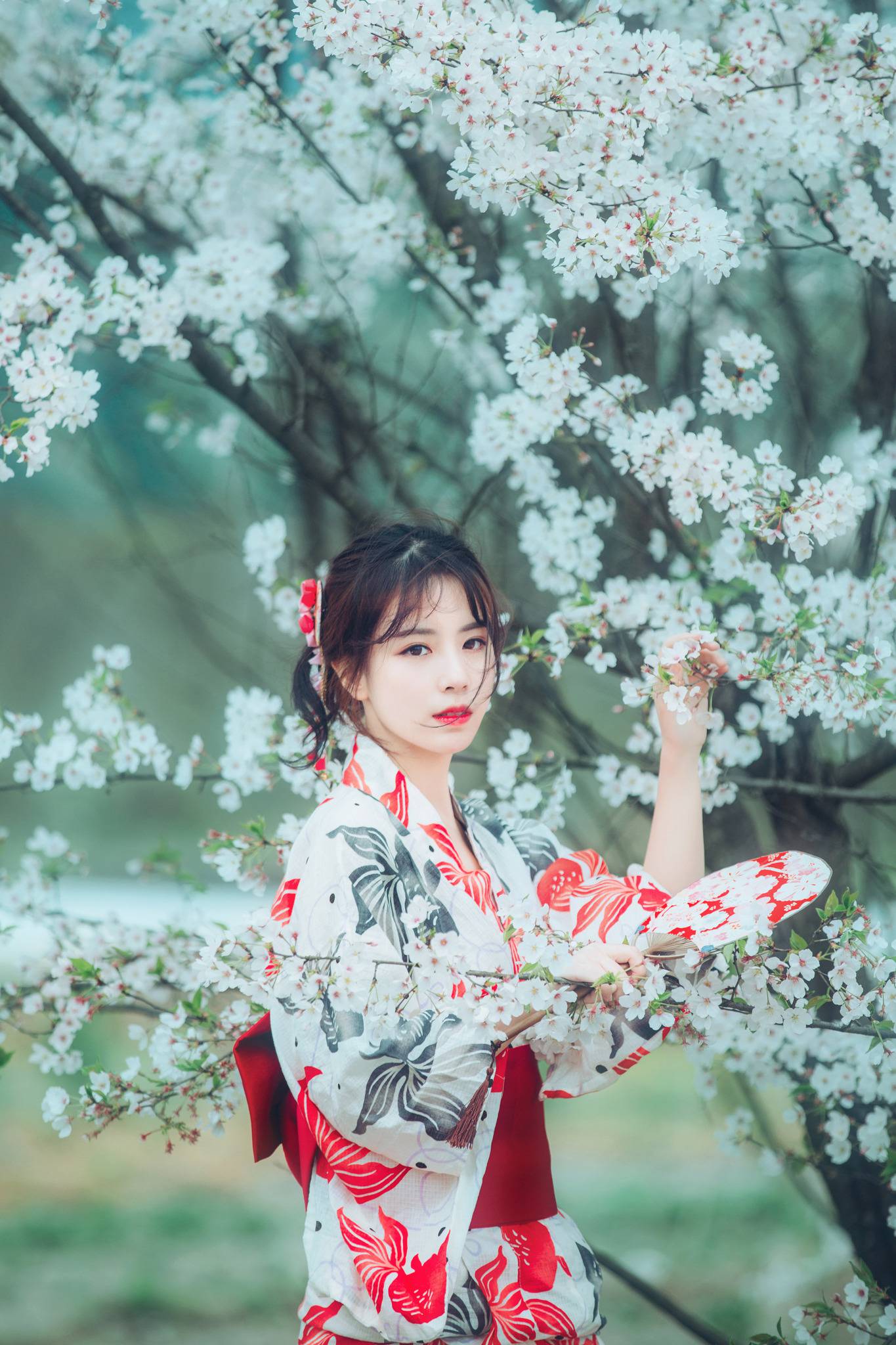 樱花祭