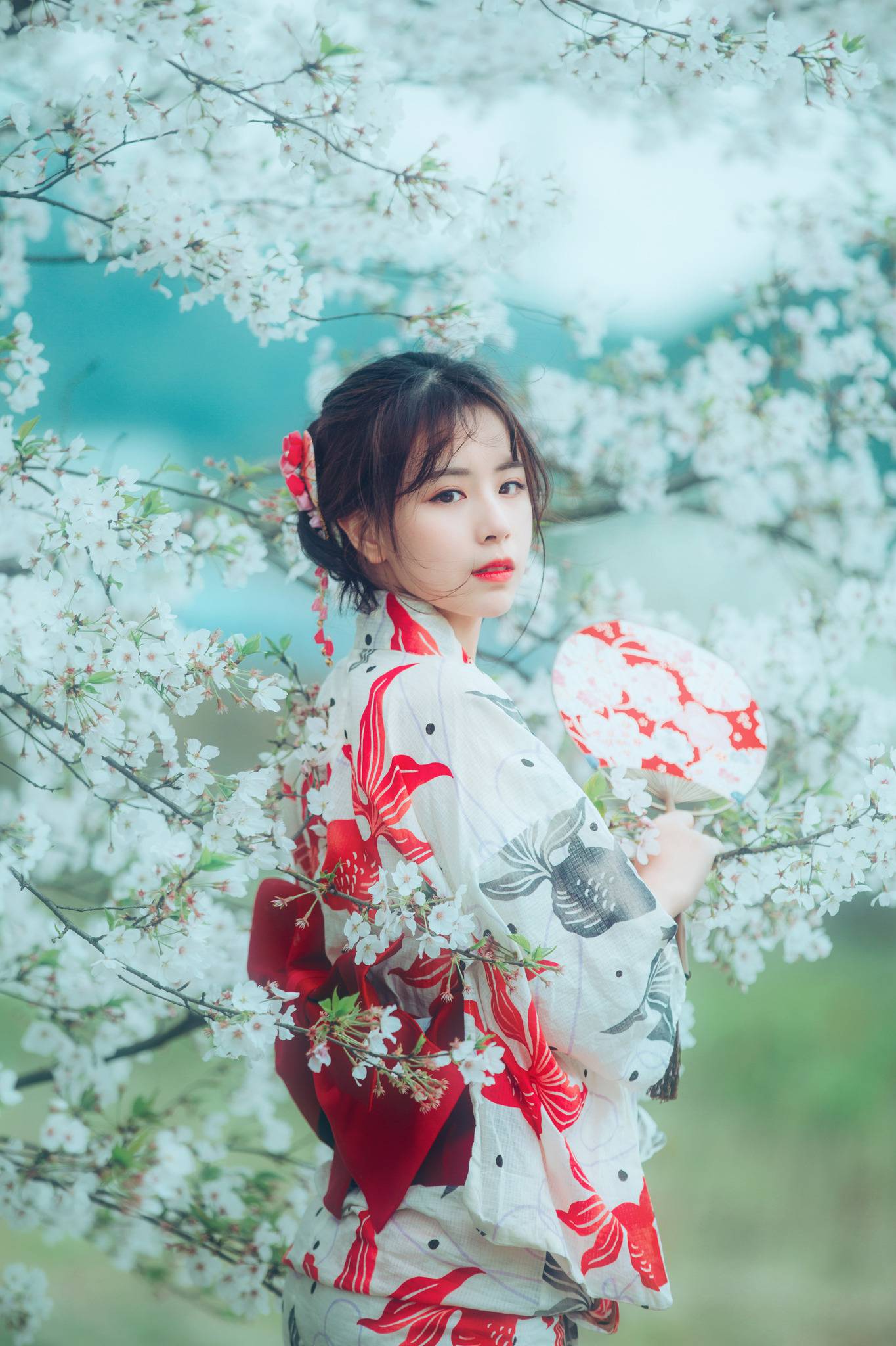 樱花祭