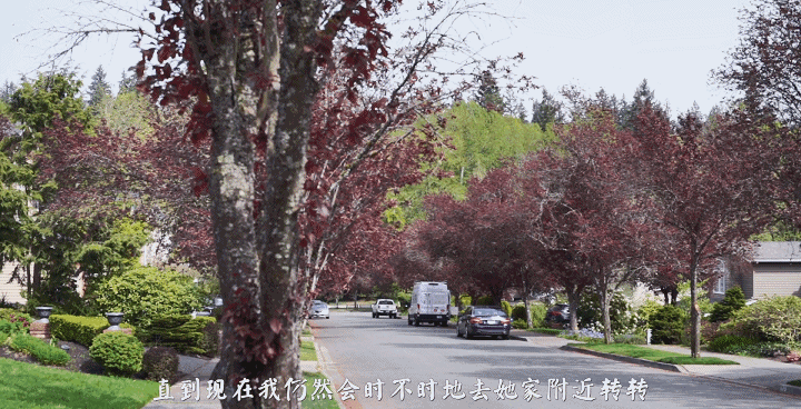 P站最火新星hongkongdoll 玩偶姐姐作品 看着竟然流泪-3CD