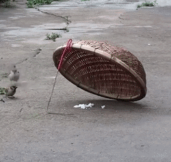 找点图片福利总汇【第23期】 研究标明，看美女会上瘾！-3CD