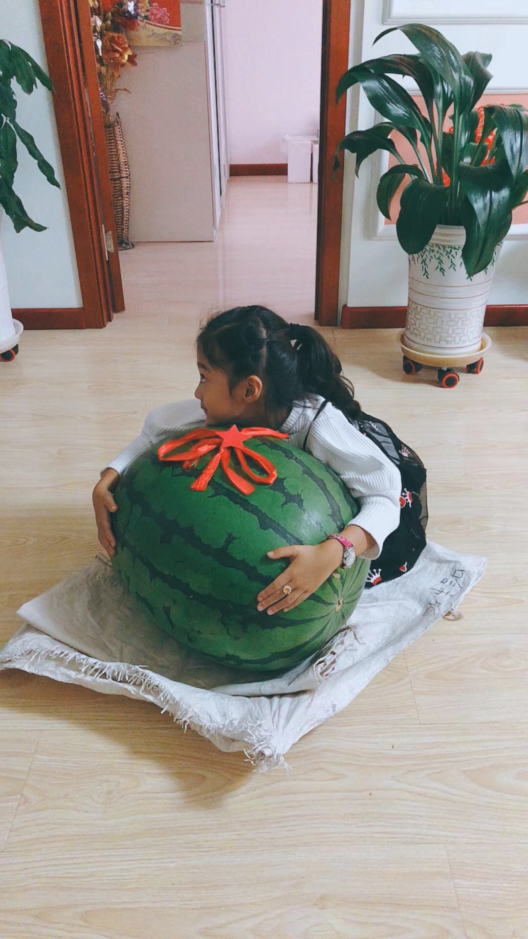 亲戚买了个82斤的大西瓜，惊了 ​​​​