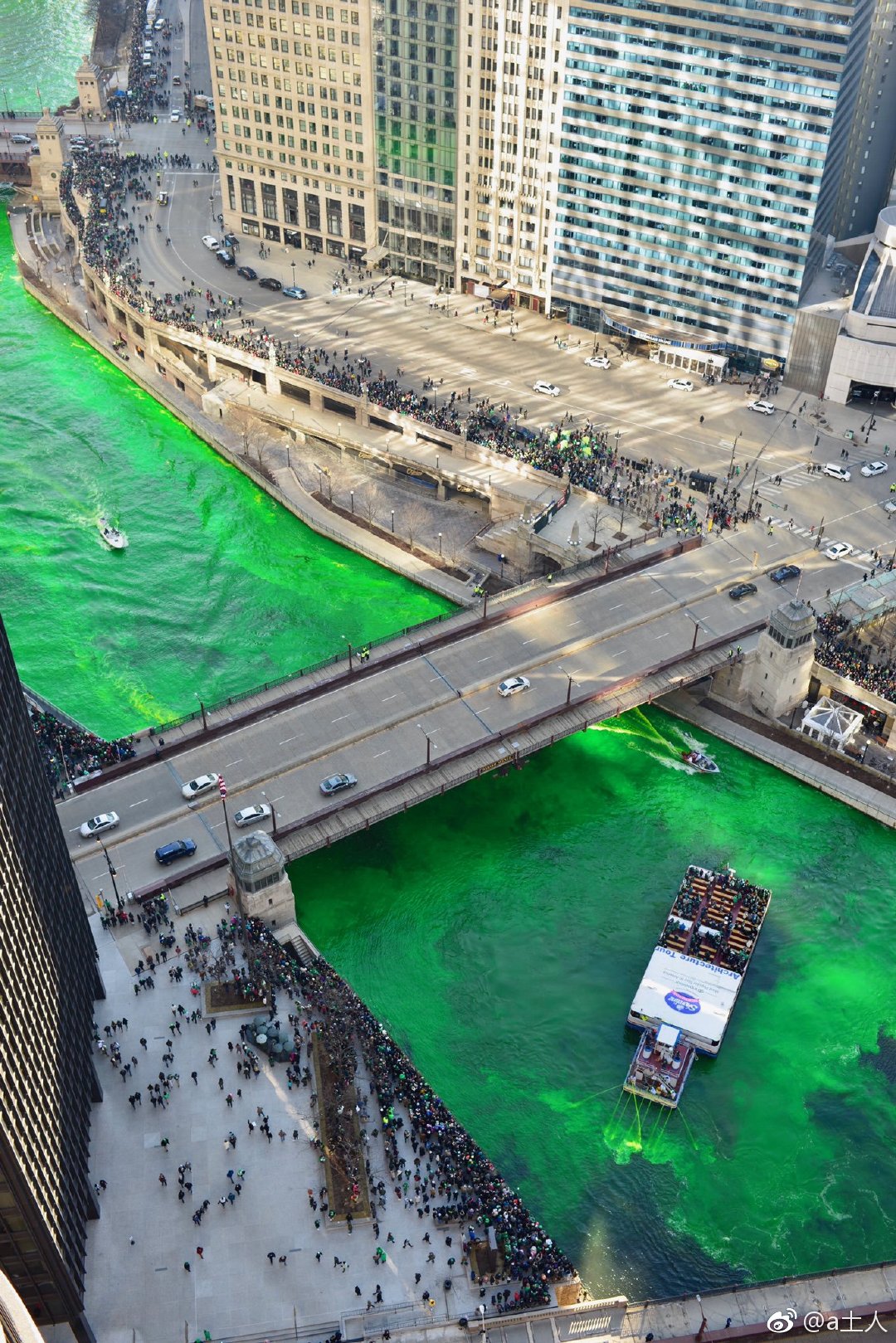 迎接圣帕特里克节，芝加哥河又绿啦。