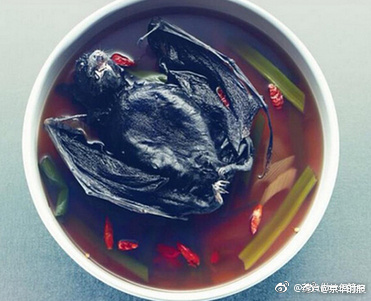 有没有人想试试这个水果蝙蝠汤（要吃午饭的就不要看了